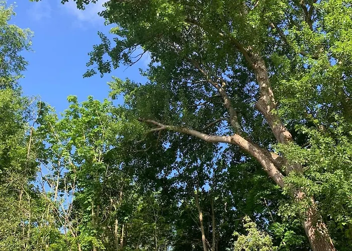 Slow-home-tating Ferienhaus